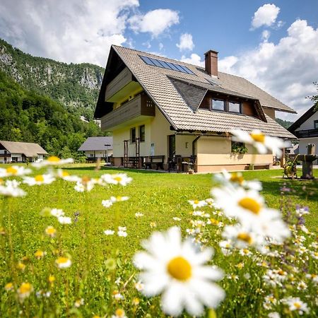 Apartments Darinka Mencinger ボーヒニ エクステリア 写真
