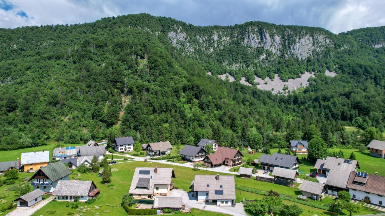 Apartments Darinka Mencinger ボーヒニ エクステリア 写真