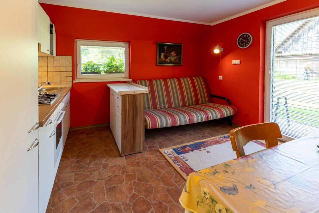 Apartments Darinka Mencinger ボーヒニ エクステリア 写真